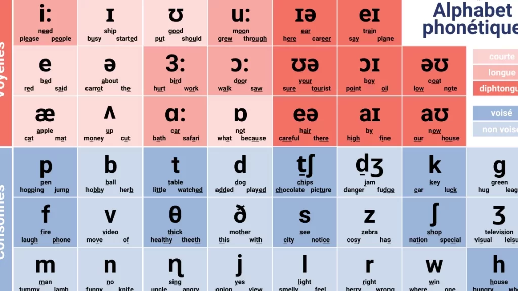 Exemples d'alphabet phonétique anglais pour améliorer la prononciation